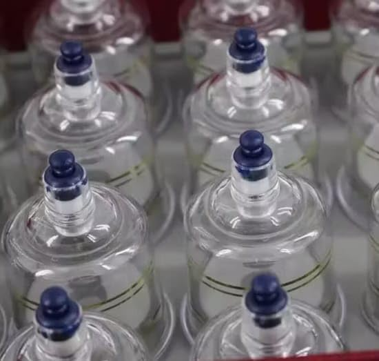 korean Cupping Cups Set of 19 Vacuum Cupping Therapy Set Massage, 10 Acupressure Pointers Included Vacuum Suction Cups Jar Vacuum Hijama Korea Cupping Therapy Kit