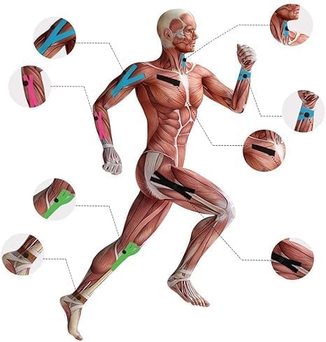 TMAX Kinesiology Tape for Physiotherapy, Sports Injury, Pain Relief Muscle Tape, for Shoulder, Wings, Arms, Ankle K Taping Waterproof Athletic Tape for Pain Support -2 Inch