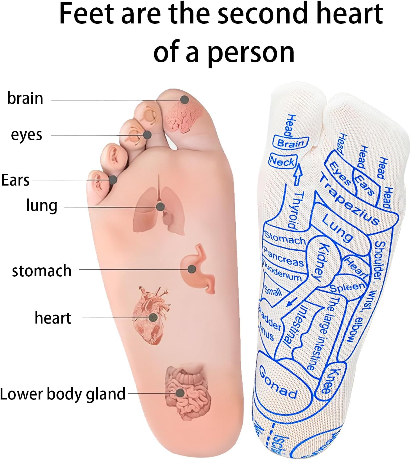 Acupressure Foot Reflexology Sock Set with Massage Tool, Acupressure Reflexology Socks Relief Body Stress & Aches, Feet Acupuncture Point Massage Pen Trigger Health & Wellness Messager Socks and gloves