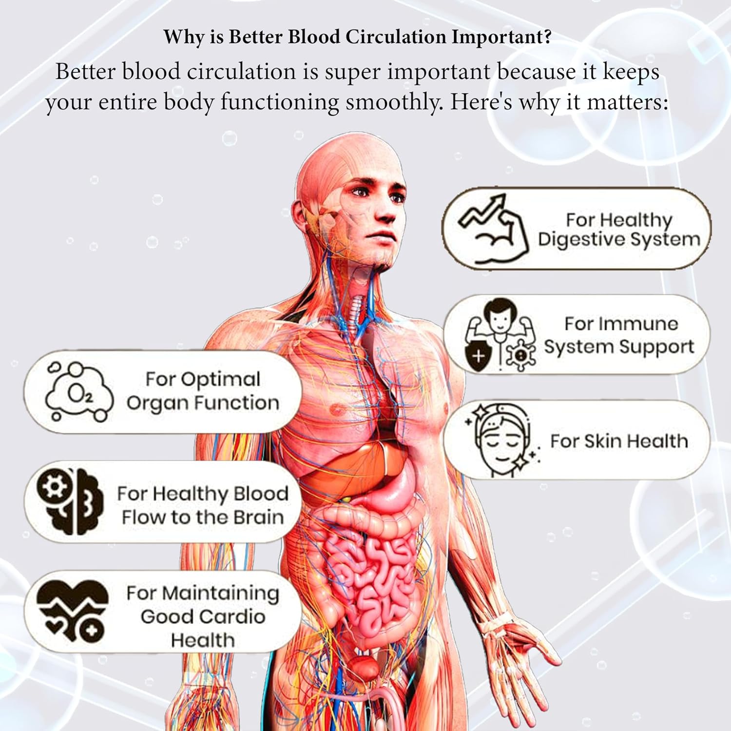 Blood Circulation Machine With Metal Body 28 Magnets With Infrared Lights Massager 185 Watt (Blue) With 3 Years Warranty